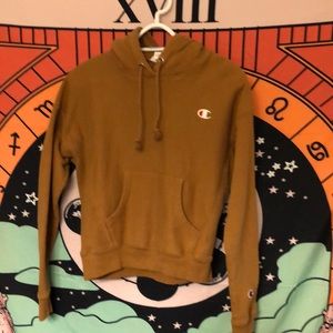Champion Rust colored Hoodie